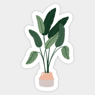 Boho Minimalist potter plants Sticker